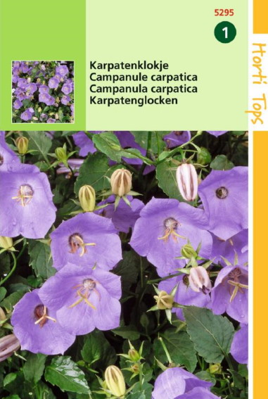 Karpaten-Glockenblume (Campanula carpatica) 2500 Samen HT